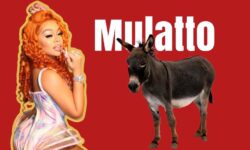 Is the word mulatto offensive? Is it a racial slur? What does it mean & what is the origin of the word mulatto? This video will explain all, as well as why you shouldn’t use that word.